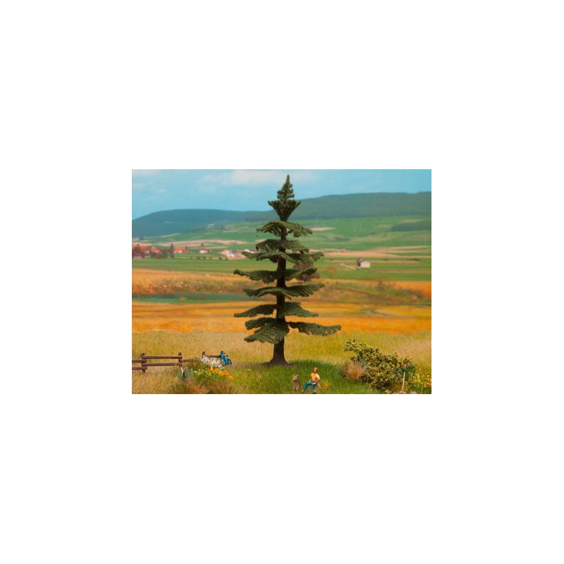 Noordmanspar, Noch, 21819