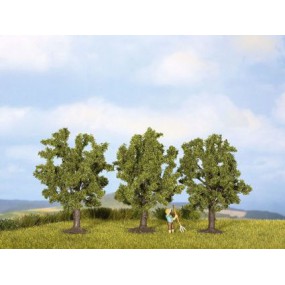 Fruitboom, Noch, 25110