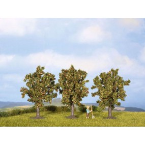 Appelboom, Noch, 25113