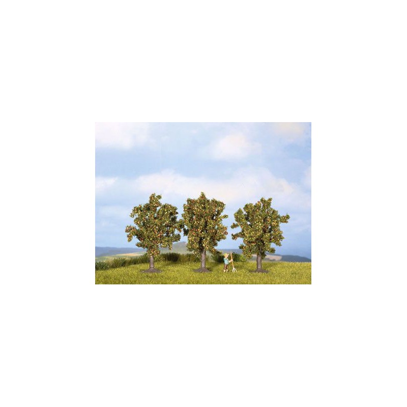 Appelboom, Noch, 25113