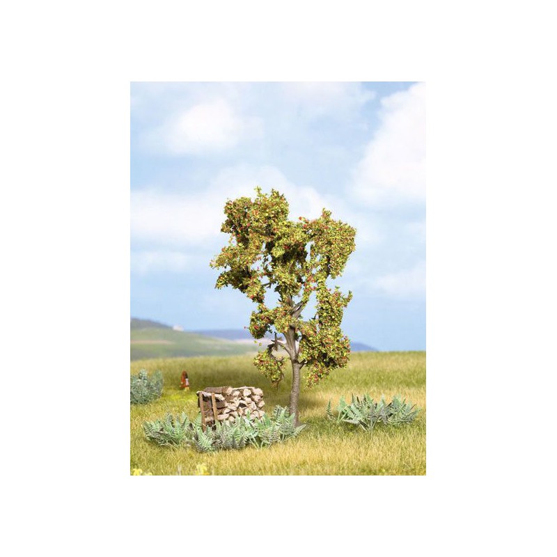 Lijsterbesboom, Noch, 21650