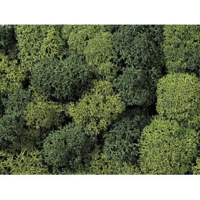 Decoratief mos licht en donkergroen, Noch, 08621