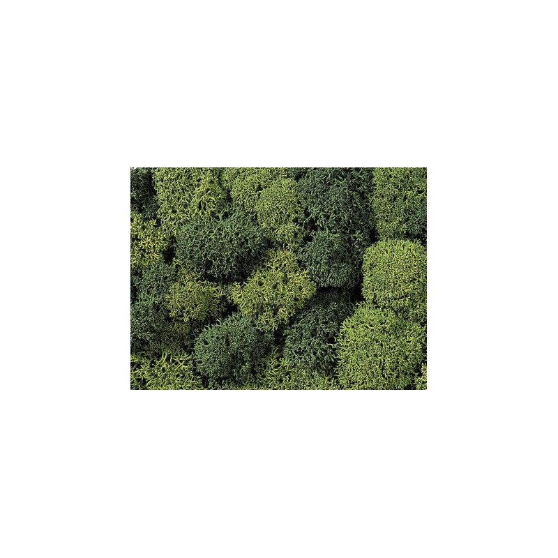 Decoratief mos licht en donkergroen, Noch, 08621