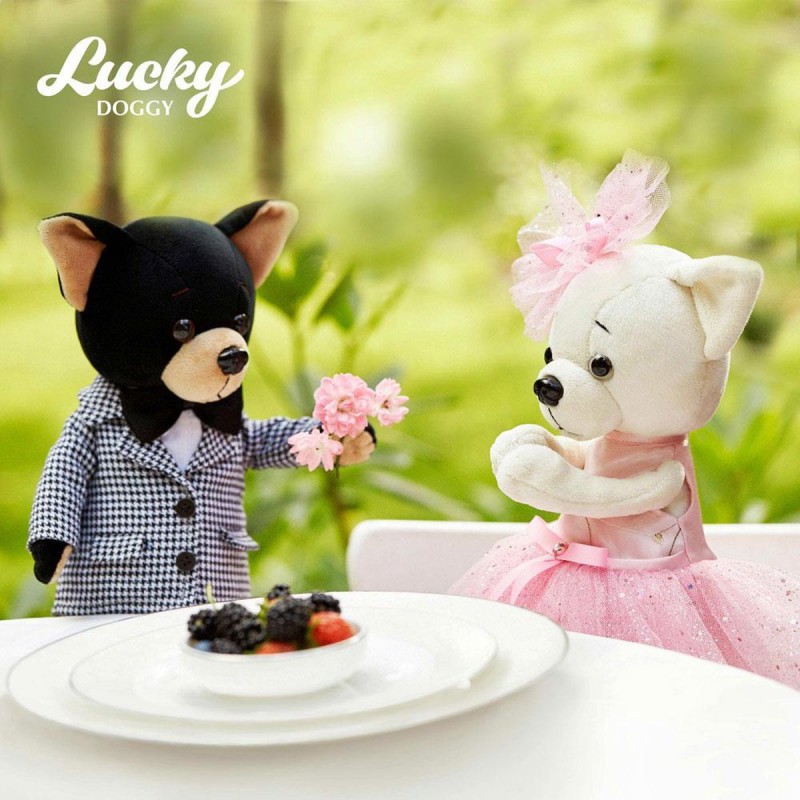 Lucky Doggy Buzz Modern Classic