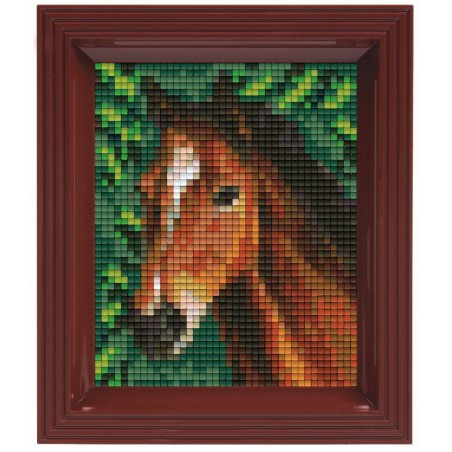 Pixel Hobby set - Paard