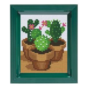 Pixel Hobbyset - Cactussen
