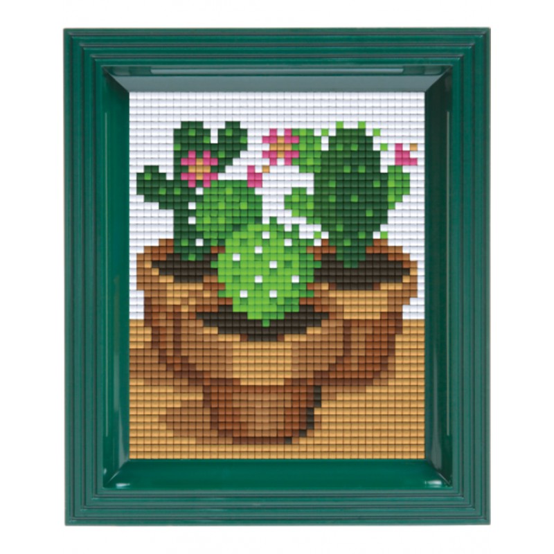 Pixel Hobbyset - Cactussen