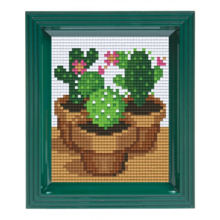 Pixel Hobbyset - Cactussen