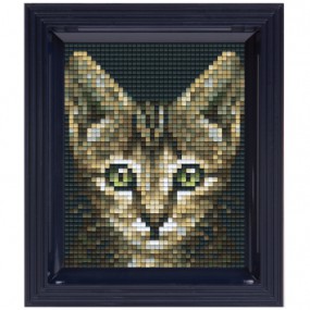 Pixel Hobbyset - Poes