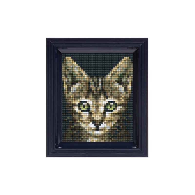 Pixel Hobbyset - Poes