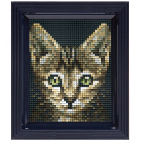 Pixel Hobbyset - Poes