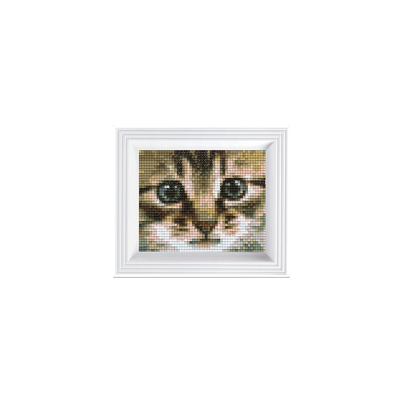 Pixel Hobby set - Kitten