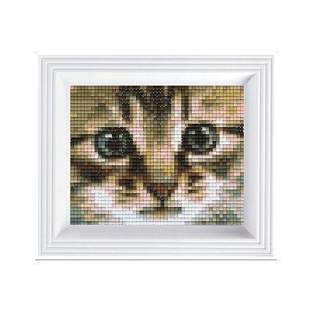 Pixel Hobby set - Kitten