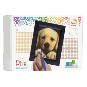 Pixel Hobby set - Golden Retriever pup