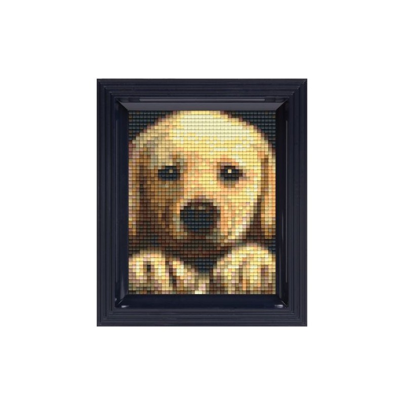 Pixel Hobby set - Golden Retriever pup
