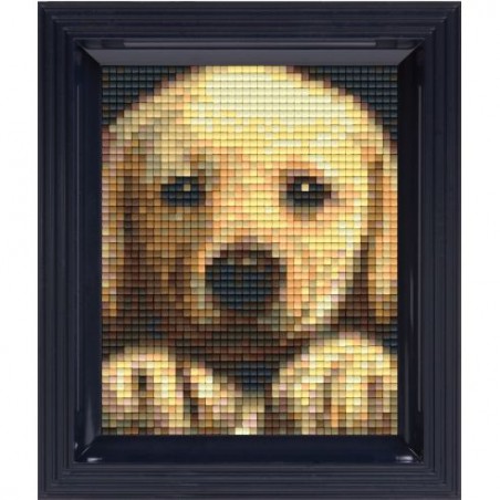 Pixel Hobby set - Golden Retriever pup