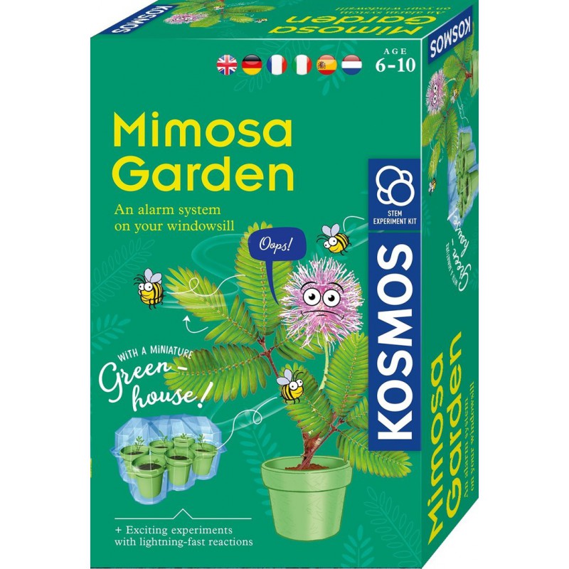 KOSMOS, Mimosa Garden