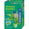 KOSMOS, Mimosa Garden