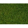 Wild gras helder groen 6 mm 50 g Wild gras helder groen 6 mm 50 g
