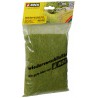 Strooigras zomerweide 2,5 mm, zak 100 g Strooigras zomerweide 2,5 mm, zak 100 g