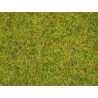 Strooigras zomerweide 2,5 mm, zak 100 g Strooigras zomerweide 2,5 mm, zak 100 g