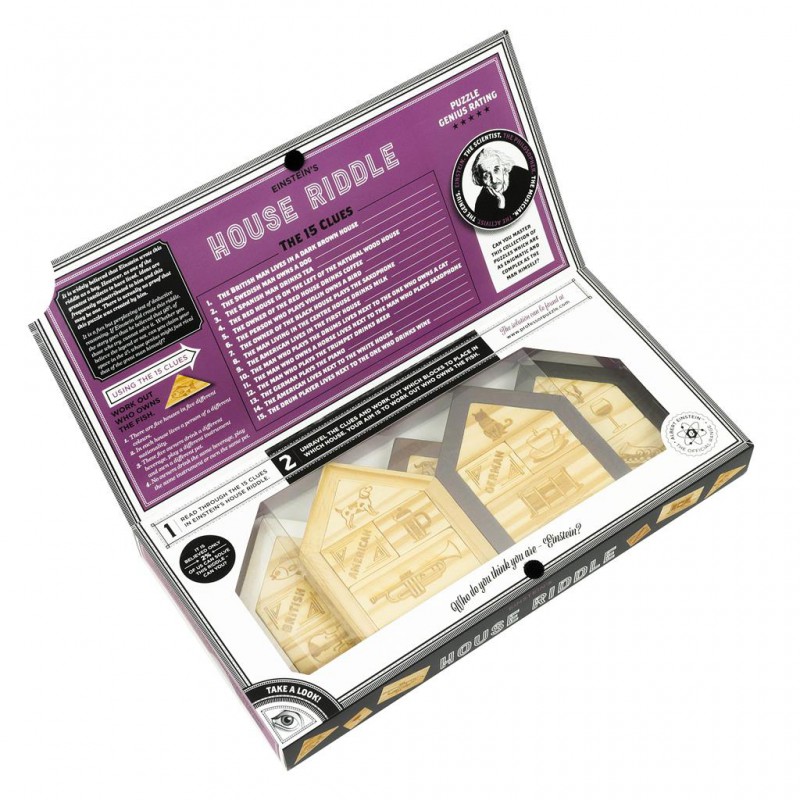 Great Minds - Einstein's House puzzel