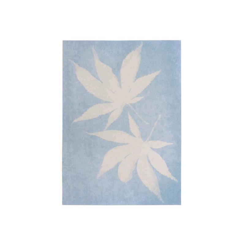 PhänoMINT - Zonnepapier