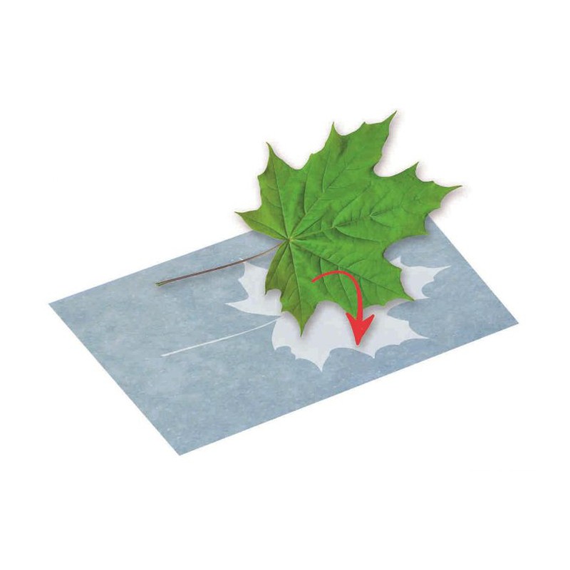 PhänoMINT - Zonnepapier