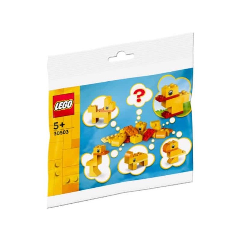 LEGO Classic - 30503 Rebuild the world polybag