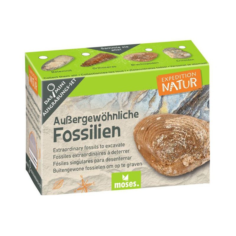 Moses - Expeditie natuur mini uithakset 6 assorti