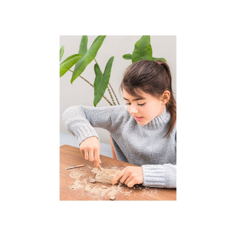 Moses - Expeditie natuur mini uithakset 6 assorti