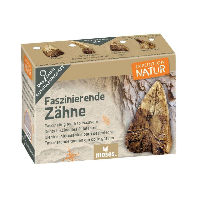 Moses - Expeditie natuur mini uithakset 6 assorti