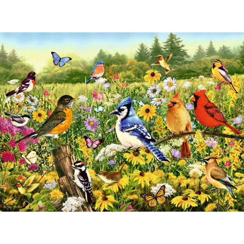 Vogels in de wei - 500 stukjes Ravensburger