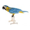 Fridolin - 3D Papiermodel Papegaai