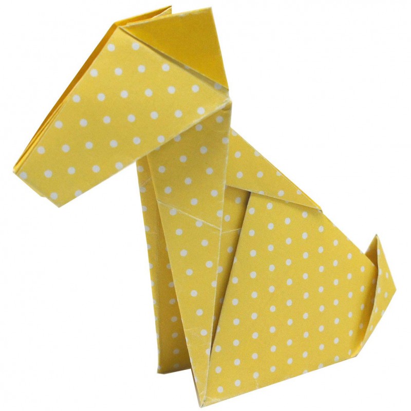 Fridolin Coloring Origami Hond 20*20