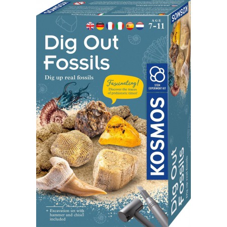 KOSMOS, Dig out Fossils