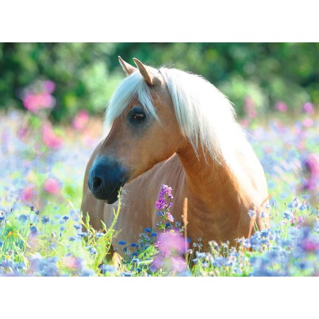 Paard tussen de bloemen, 300 stukjes Ravensburger