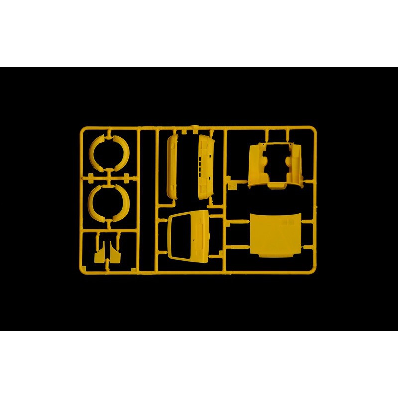 Renault R5 Alpine Rally, Italy