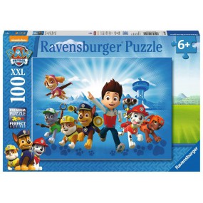 De ploeg van Paw Patrol