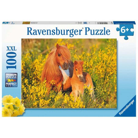 Shetland pony's, 100 stukjes Ravensburger