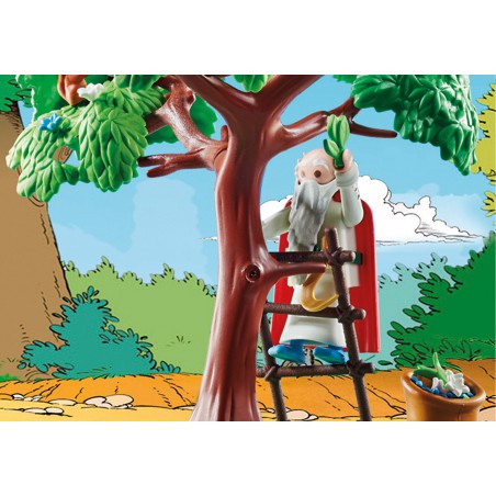Playmobil - Asterix 70933 Panoramix met toverdrank