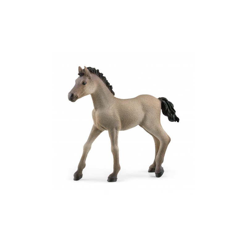 Schleich - Criollo Definitivo veulen 13949