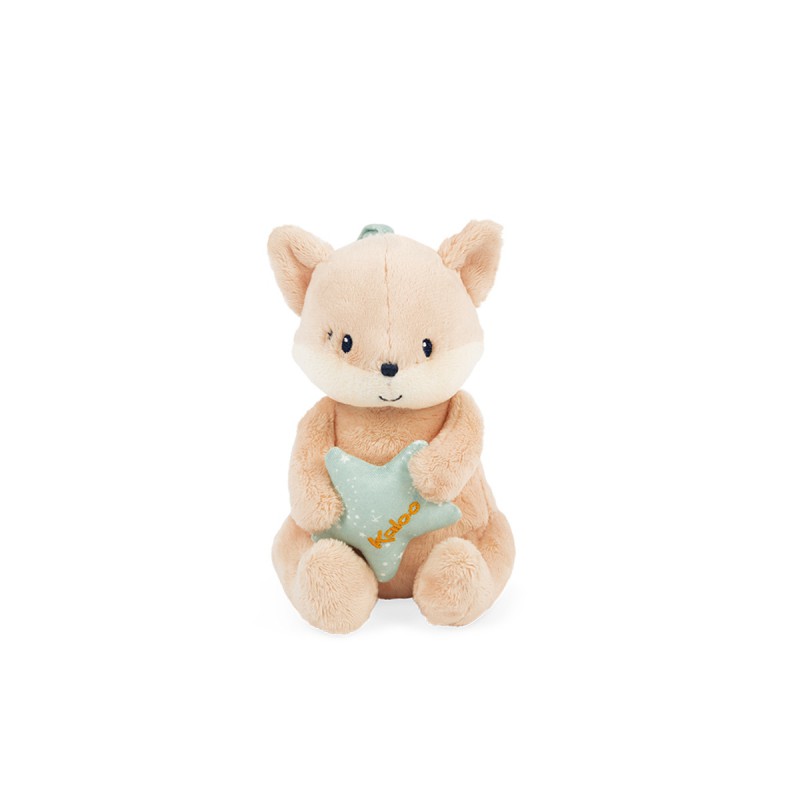 Mijn muzikale vos - Kaloo