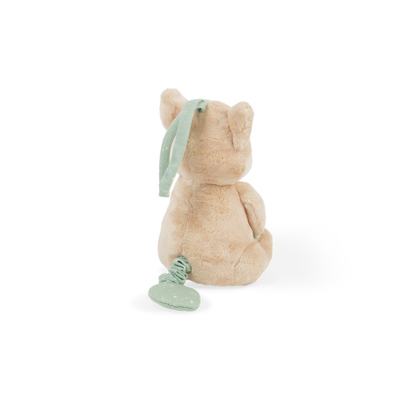 Mijn muzikale vos - Kaloo