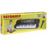 Electronisch Keyboard met microfoon - Boogie Bee