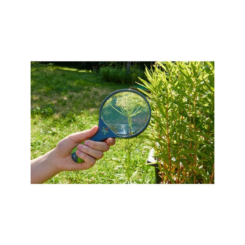 Terra Kids - Kinderloep