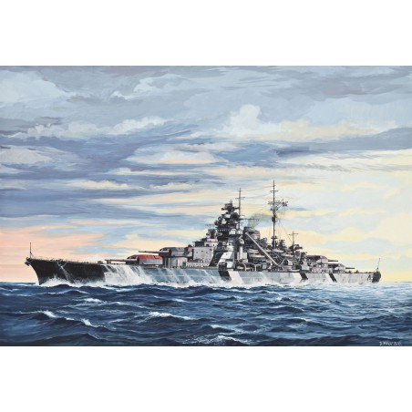 Battleship BISMARCK 1:700, Revell