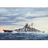 Battleship BISMARCK 1:700, Revell