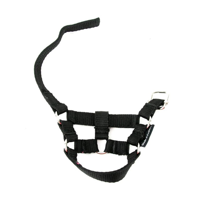 Crafty Ponies - Halster zwart