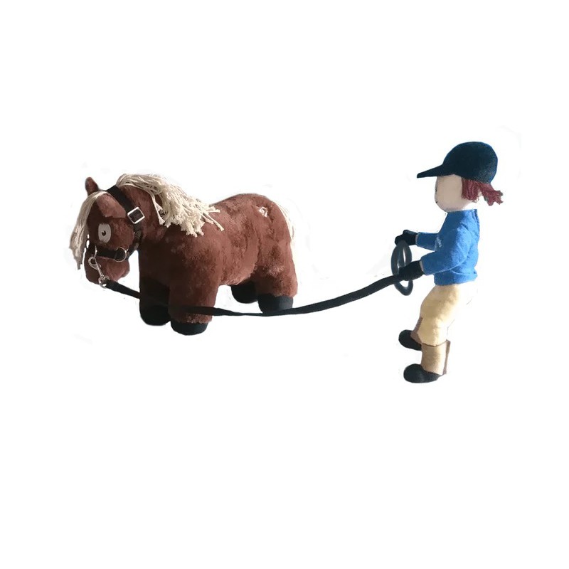 Crafty Ponies - Longeer set